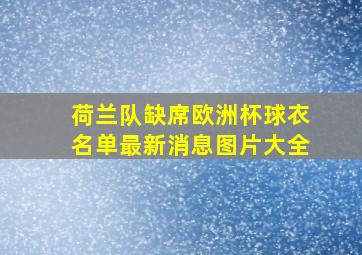 荷兰队缺席欧洲杯球衣名单最新消息图片大全