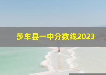 莎车县一中分数线2023