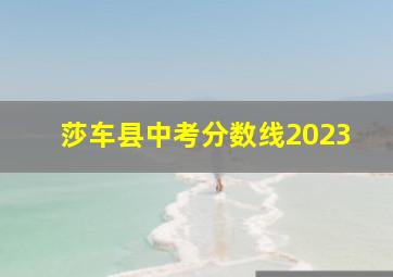 莎车县中考分数线2023