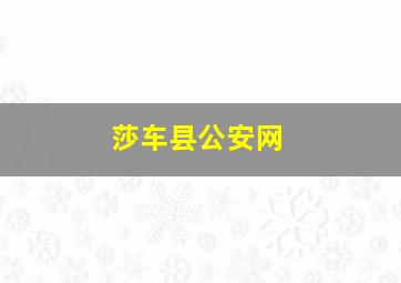 莎车县公安网