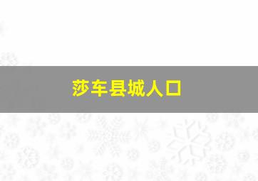 莎车县城人口