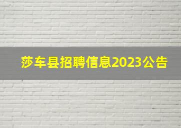 莎车县招聘信息2023公告