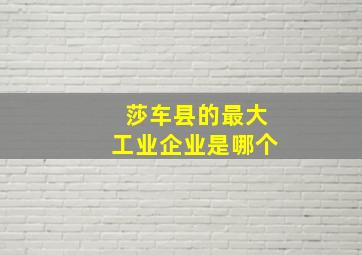 莎车县的最大工业企业是哪个