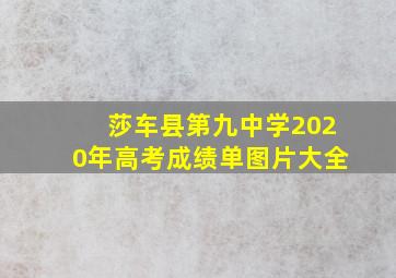 莎车县第九中学2020年高考成绩单图片大全