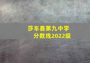 莎车县第九中学分数线2022级