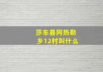 莎车县阿热勒乡12村叫什么