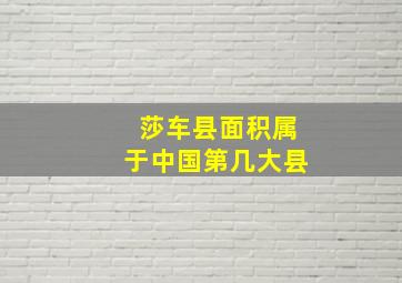 莎车县面积属于中国第几大县