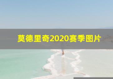 莫德里奇2020赛季图片