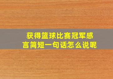 获得篮球比赛冠军感言简短一句话怎么说呢