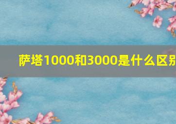 萨塔1000和3000是什么区别