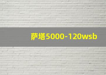 萨塔5000-120wsb