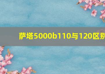 萨塔5000b110与120区别