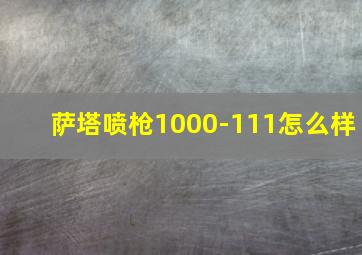 萨塔喷枪1000-111怎么样