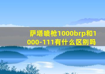 萨塔喷枪1000brp和1000-111有什么区别吗