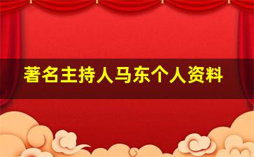 著名主持人马东个人资料