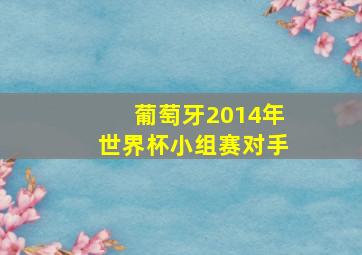 葡萄牙2014年世界杯小组赛对手