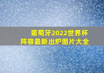 葡萄牙2022世界杯阵容最新出炉图片大全