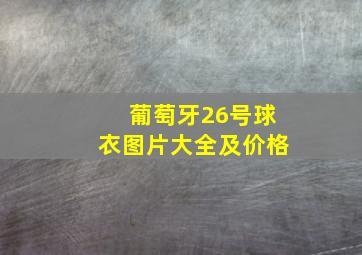 葡萄牙26号球衣图片大全及价格