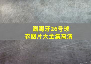 葡萄牙26号球衣图片大全集高清