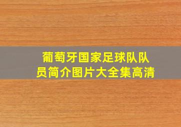 葡萄牙国家足球队队员简介图片大全集高清