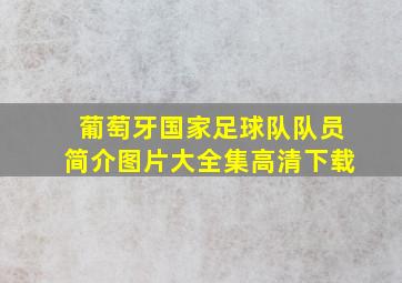 葡萄牙国家足球队队员简介图片大全集高清下载