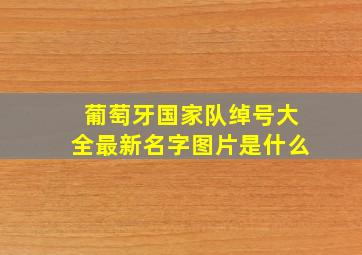 葡萄牙国家队绰号大全最新名字图片是什么