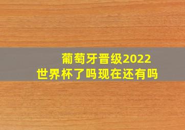 葡萄牙晋级2022世界杯了吗现在还有吗