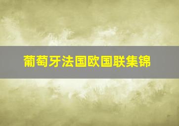 葡萄牙法国欧国联集锦