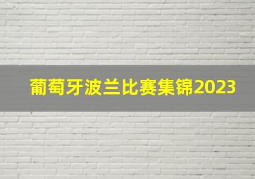 葡萄牙波兰比赛集锦2023