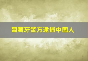 葡萄牙警方逮捕中国人