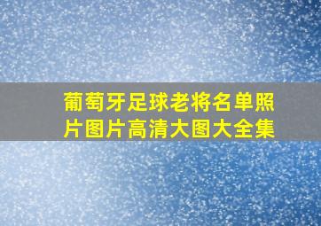 葡萄牙足球老将名单照片图片高清大图大全集