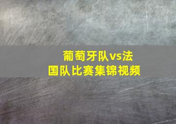 葡萄牙队vs法国队比赛集锦视频