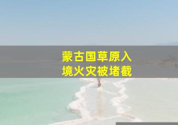 蒙古国草原入境火灾被堵截