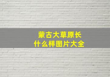 蒙古大草原长什么样图片大全