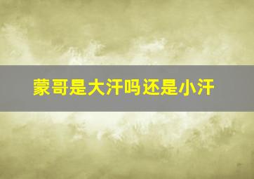 蒙哥是大汗吗还是小汗