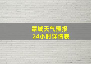 蒙城天气预报24小时详情表