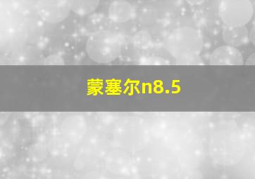 蒙塞尔n8.5