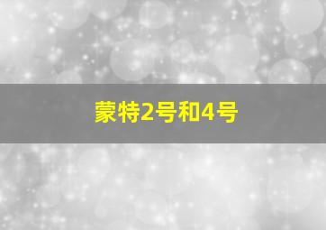 蒙特2号和4号