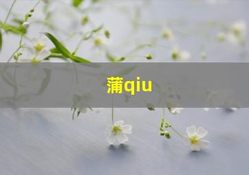 蒲qiu