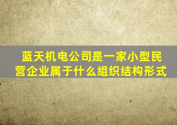 蓝天机电公司是一家小型民营企业属于什么组织结构形式