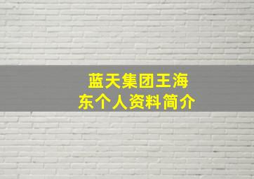 蓝天集团王海东个人资料简介