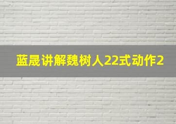 蓝晟讲解魏树人22式动作2