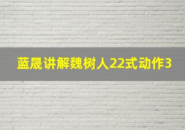 蓝晟讲解魏树人22式动作3