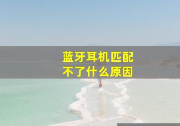 蓝牙耳机匹配不了什么原因