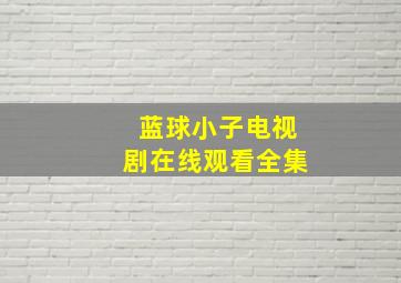 蓝球小子电视剧在线观看全集