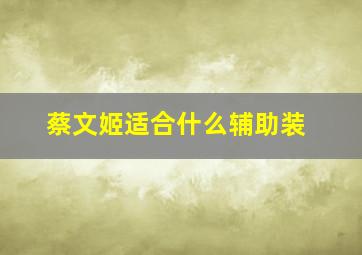 蔡文姬适合什么辅助装