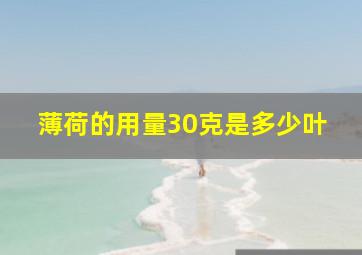 薄荷的用量30克是多少叶