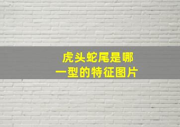 虎头蛇尾是哪一型的特征图片