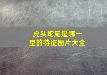 虎头蛇尾是哪一型的特征图片大全