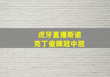 虎牙直播斯诺克丁俊晖冠中冠